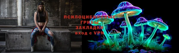 сатива Абинск