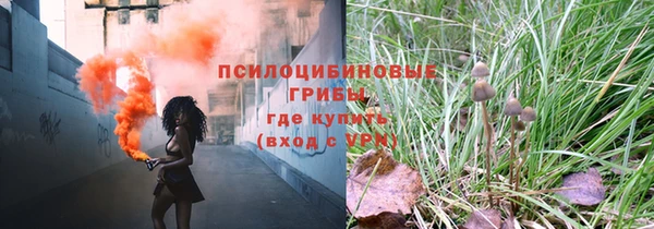 сатива Абинск