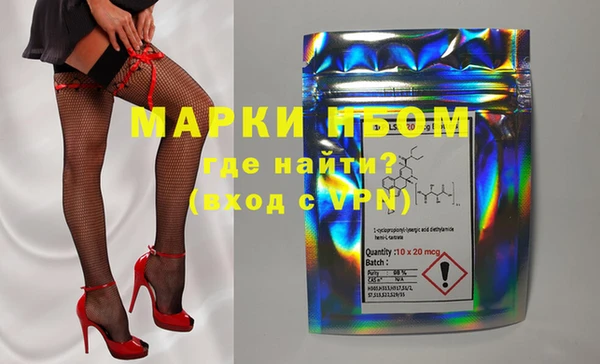 сатива Абинск