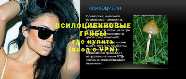 сатива Абинск
