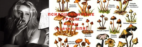 мяу мяу кристалл Абдулино