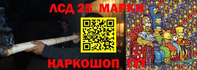 jwh Шадринск