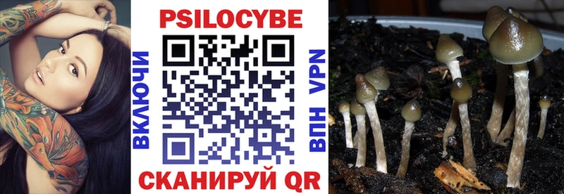 купить  сайты  мориарти состав  Псилоцибиновые грибы ЛСД  Воронеж 