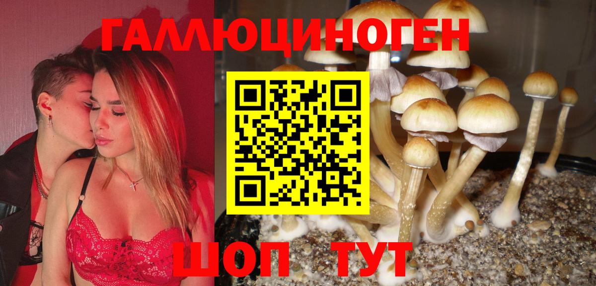 Псилоцибиновые грибы Magic Shrooms Воронеж